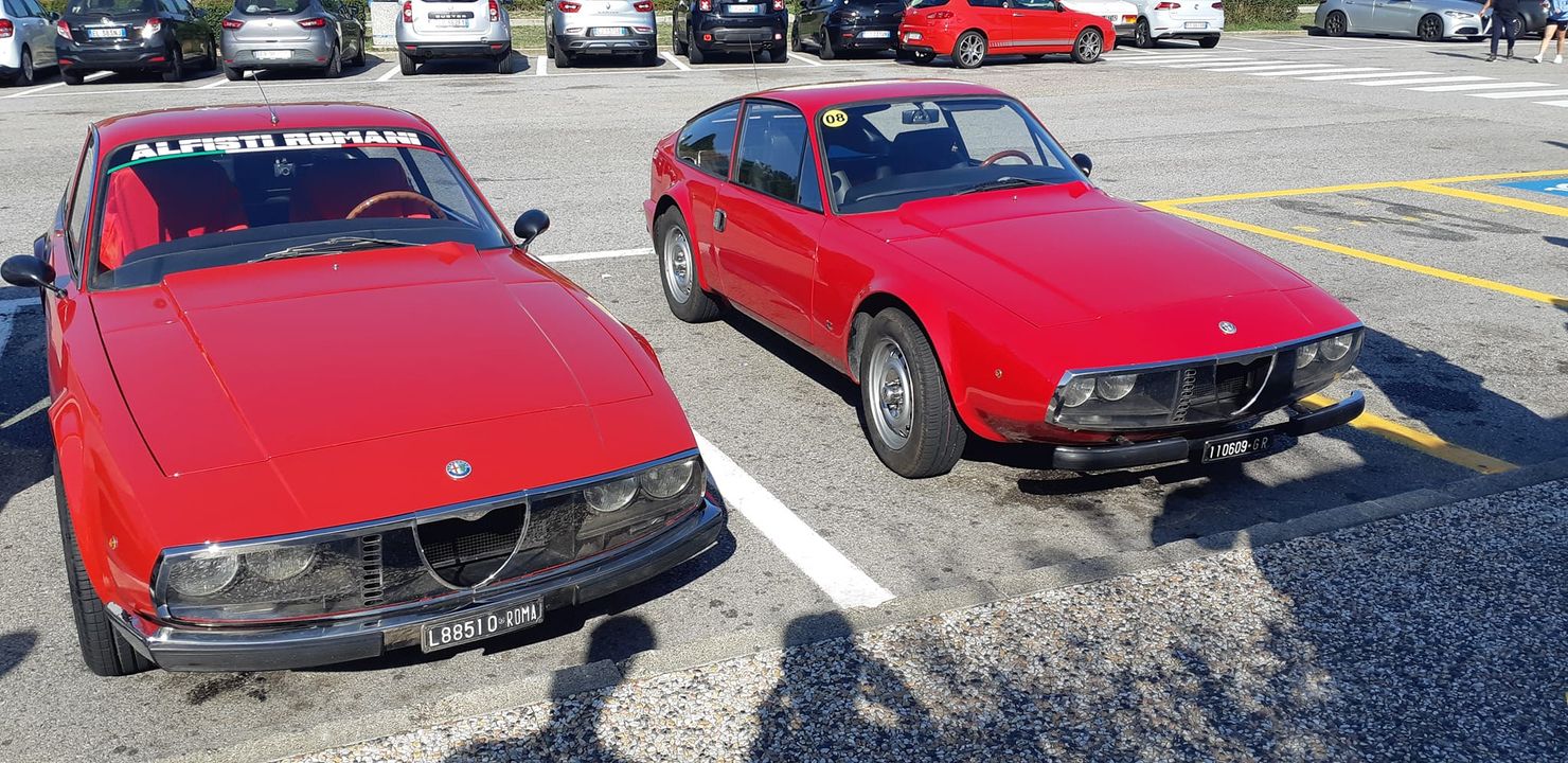 Alfisti Romani Social