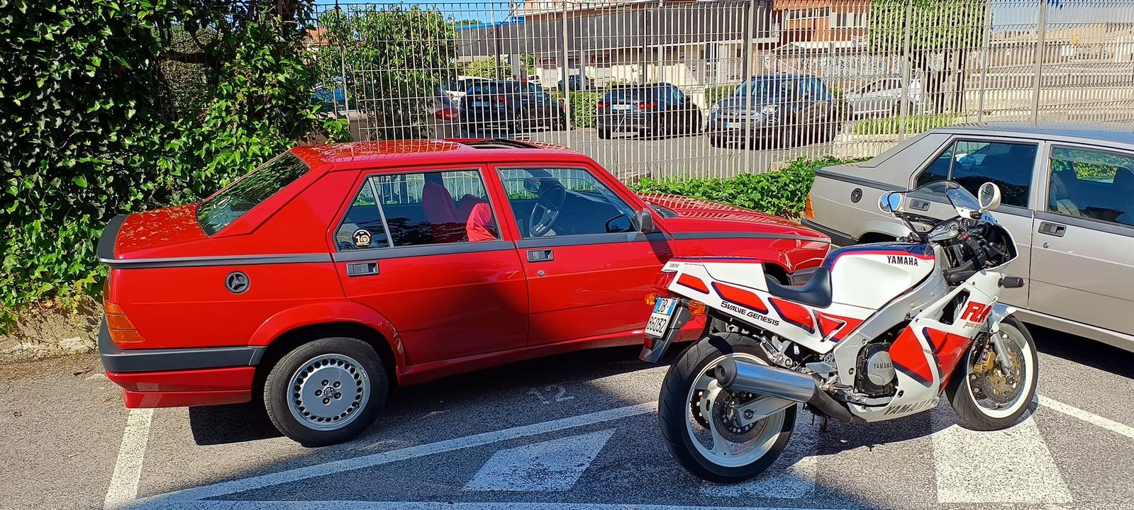 Alfisti Romani Social