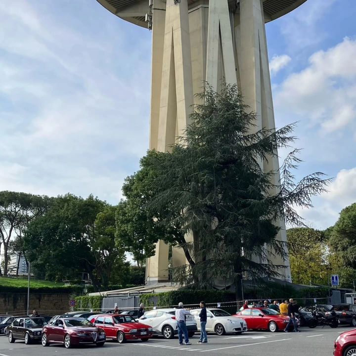 Alfisti Romani Social