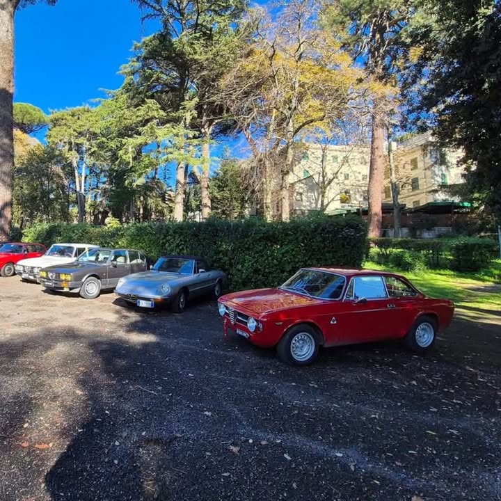 Alfisti Romani Social